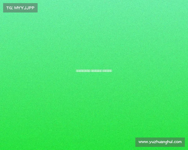 意甲与德甲同步启航 新赛季风云再起 球迷热情高涨